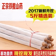 正宗铁棍山药河南焦作菏泽陈集铁棍山药新鲜铁杆怀淮山约5斤特产