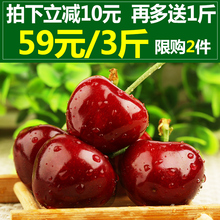包邮 现摘现发山东烟台大樱桃车厘子5车里子10新鲜水果送1斤发3斤