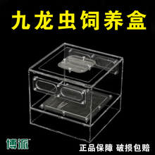 九龙虫饲养繁殖盒九龙虫饲养幼虫粪便分离器洋虫饲养繁殖饲养盒