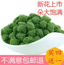 50g 包邮 10元 2019三七花田七花茶云南文山四年生纯天然特级正品