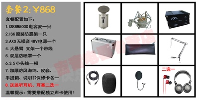 ISK BM-5000 BM5000 电容麦克风 大振膜音头 专业录音话筒现场K歌