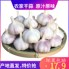 包邮 干蒜紫白红皮 农家自种5斤大蒜河南杞县特产大蒜头新鲜低价