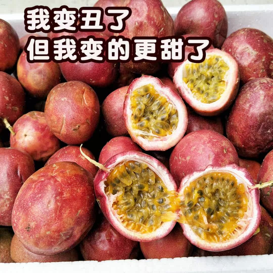 小果水果,小果叮,小果_大山谷图库
