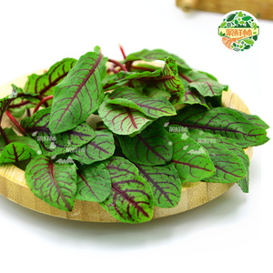 酸模叶新鲜品牌店铺