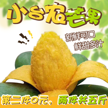 包邮 2.5斤鸡蛋芒当季水果 广西百色芒果小台农芒果香甜多汁新鲜