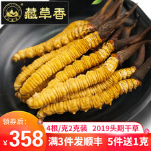 新鲜干虫草玉树正品 冬虫夏草野生8条2克野生虫草非西藏那曲冬虫草