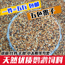 包邮 黑白红黄青五色黍子谷子5种混合鹦鹉饲料小型鸟类鸟食鸟粮5斤
