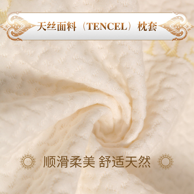 pokalen���Ͱ�Ħ�����齺��PTH-C