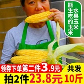 水果玉米新鲜生玉米棒即食生吃脆糯玉米现摘甜玉米云南鲜玉米5斤
