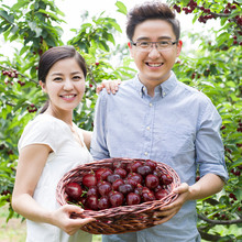 包邮 美早山东烟台大樱桃预售非大连小四川5车厘子 樱桃3斤新鲜水果