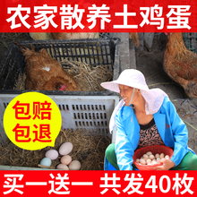 买一送一 农家正散养土鸡蛋宗新鲜自养草鸡月子笨鸡蛋农村柴鸡蛋