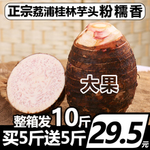 10斤新鲜芋头荔浦正宗广西农家香芋大粉槟榔紫藤整箱毛芋小包邮免