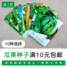 南瓜砍瓜黄瓜丝瓜苦瓜 瓜果蔬菜籽种子大全 西瓜种子高产甜早熟