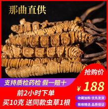 西藏冬虫夏草正品西藏那曲虫草冬虫夏草野生5根/g克礼盒包邮