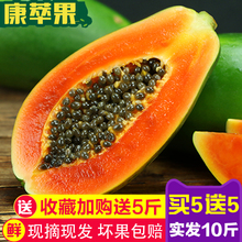 包邮 广西冰糖红心木瓜10斤带箱新鲜当季热带牛奶水果木瓜批发