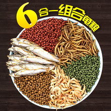 小乌龟饲料半水龟龟粮鱼虾虫干宠物龟巴西草龟鳄龟饲料补钙龟食物
