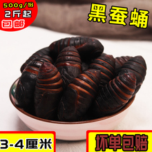 榛鲜御品东北土特产柞蚕蛹新鲜活野生大黑活茧蛹蝉蛹500g2斤包邮