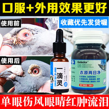 鸽药一滴灵衣原两日净鸽子药大全常见病鹦鹉热单眼伤风眼睛流泪肿