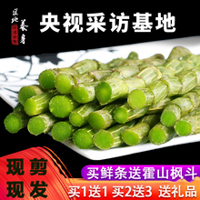非野生霍山铁皮石斛枫斗干条 非特级 新鲜铁皮石斛鲜条500g礼盒装