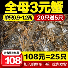 小蟹香辣蟹毛蟹小河蟹小螃蟹 全母大闸蟹鲜活大一元 包邮 二元 三元