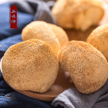 猴头菇干货250克东北野生猴菇长白山特级无熏硫农家土特产猴头菇