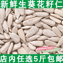 5斤 生瓜子仁 包邮 无壳葵瓜子仁粒大饱满 新鲜生葵花籽仁500g