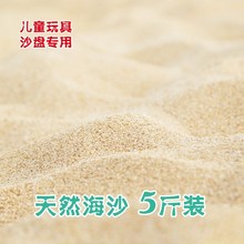 白沙 海沙天然细沙儿童玩具沙滩沙子鱼缸造景细沙子天然沙散装