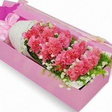 同城送都匀市花店长辈生日鲜花龙里县33支控塑袄窈新薜橄鼗菟县
