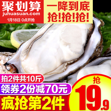 天海藏乳山生蚝鲜活带壳牡蛎肉新鲜即食海鲜海蛎子买2件共10斤