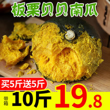 新西兰贝贝南瓜板栗小南瓜板栗味老瓜栗子板粟农家斤新鲜粉糯甜10