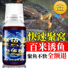 钓鱼小药青鱼鲫鱼鲤鱼春季鱼饵小药野钓黑坑添加剂竞技箹饵料