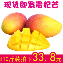 包邮 10斤带箱红金龙树上熟辣椒芒当季水果 现摘芒果海南贵妃芒新鲜