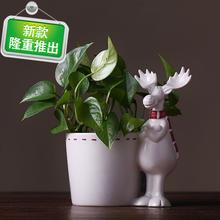 饰品客厅3餐桌水培花器摆件简约现代装 北欧创意陶瓷储物摆件装