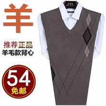 春秋中老年人男毛背心马甲V领羊毛羊绒衫 针织冬季爸爸装 中年男士