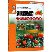 砂糖橘栽培种植技术 砂糖橘管理 病虫害防治 正版 中国农业出版社 图说沙糖橘优质高效栽培技术 柑橘提质增效生产丛书 彩图版 包邮