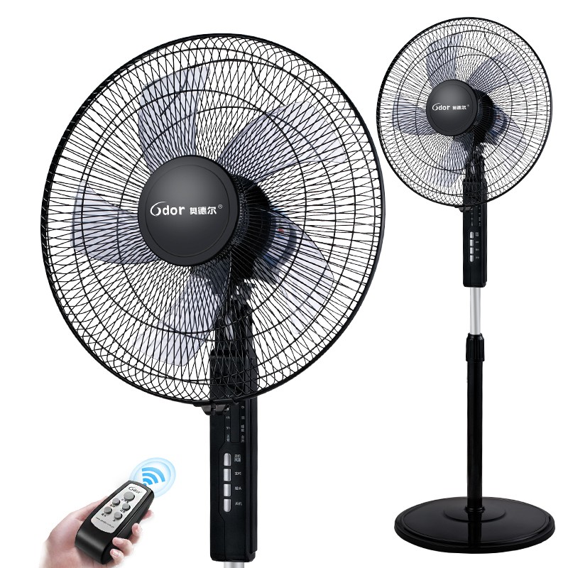 �µ¶�����������