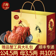 现货6送4八神大闸蟹礼盒团购送礼特大公螃蟹4.5两新鲜活母蟹3.5两