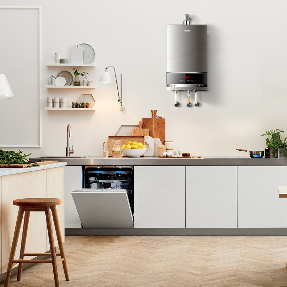 ����ȼ����ˮ�� JSQ20-E2S(12T)