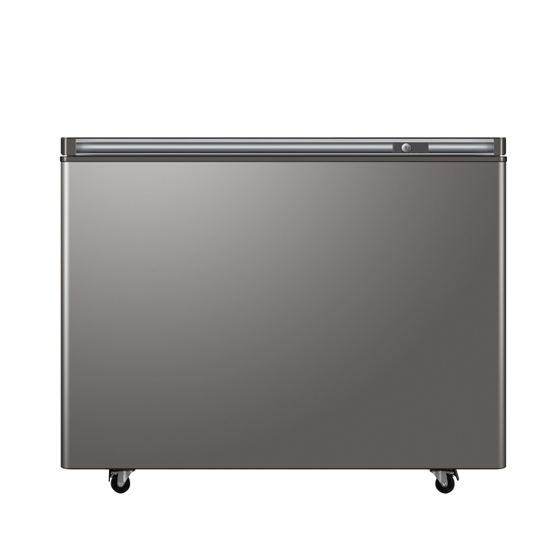 �����䶳���¹�BD-200WEGU1