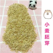 买5送1 仓鼠主粮伴侣小麦胚芽糖尿病老年鼠美毛抗衰老50g