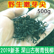 新茶野生青钱柳 正品青钱柳茶古树嫩芽 金钱柳清钱柳特级嫩叶原叶