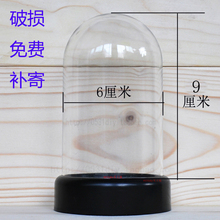 9满额 包邮 面塑玻璃罩子永生花亚克力透明蛋雕工艺品防尘罩子6