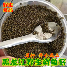 鲟鱼籽 黑鱼籽鱼子酱100g顺丰 包邮 鰉鱼籽 黑龙江抚远野生鲟龙鱼