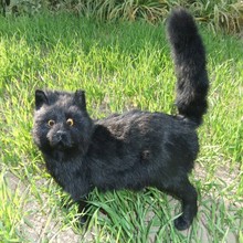 仿真大站猫 仿真皮毛动物 手工制作 颜色可定做