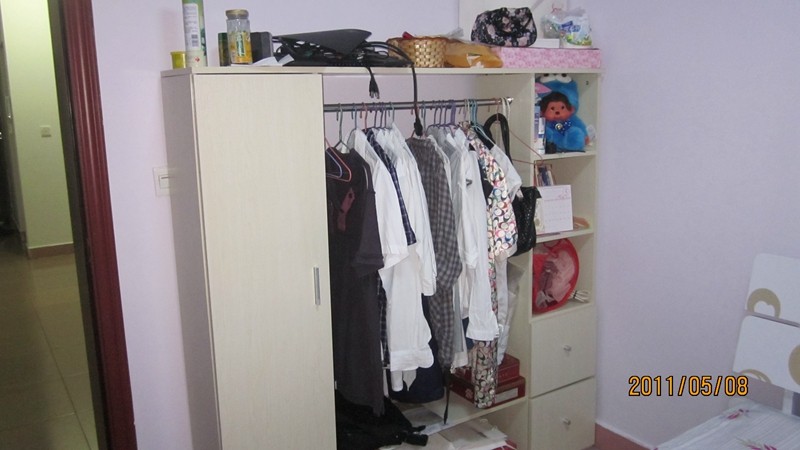 ���纫ʽ����³�Y10