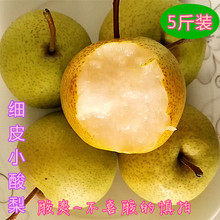 天津蓟县山区农家2018年酸梨 细皮小酸梨 安梨 烂酸梨五斤包邮