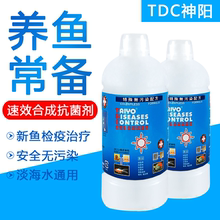 神阳TDC速效性合成抗菌剂 淡海水通用海水鱼检疫药水海水鱼药
