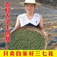 包邮 云南文山特级500g克四年田七花三七新花茶天然正宗 三七花正品
