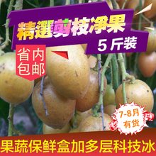 孕妇新鲜水果 包邮 郁南鸡心山黄皮果健康养生消食化痰广东省内顺丰