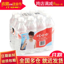 娃哈哈 纯净水596ml*12瓶 正品哇哈哈矿泉水家庭饮用水